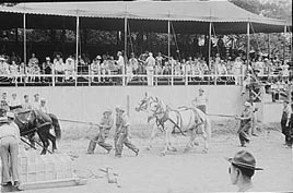 fair_history_02